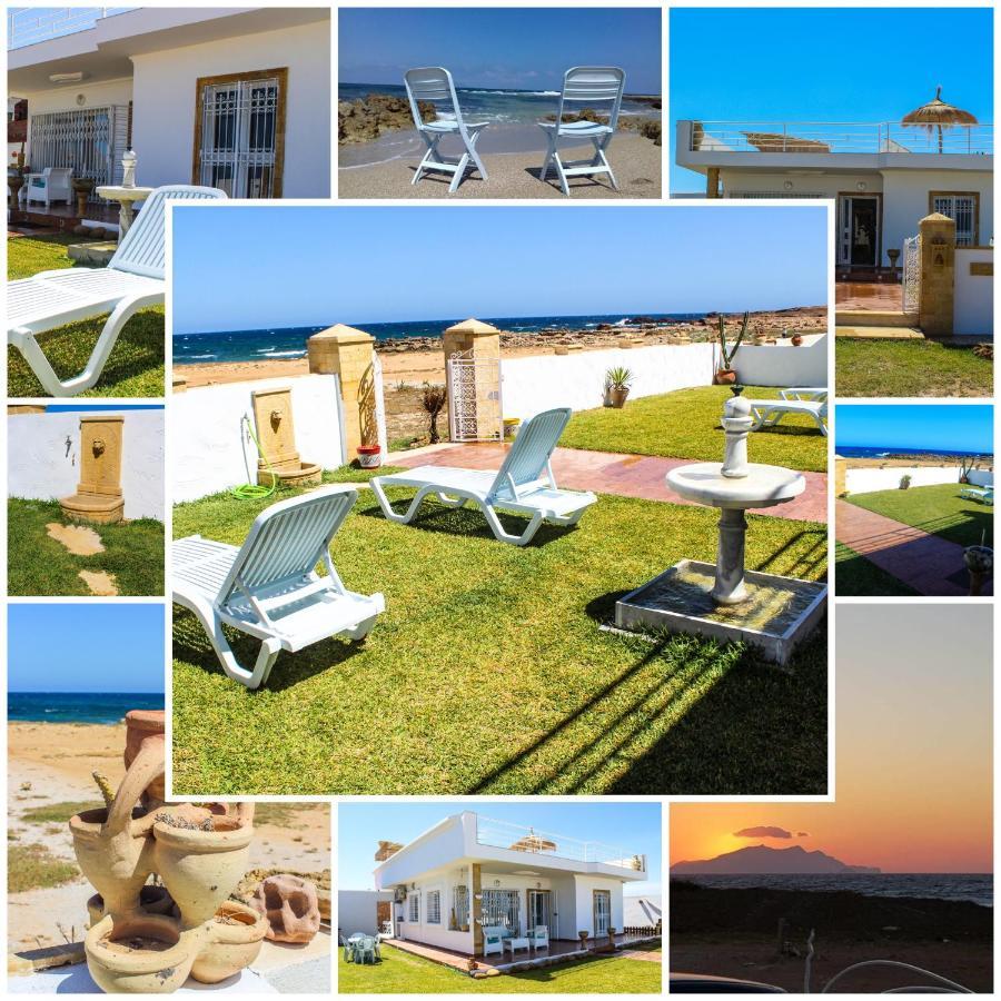Island Zembra * El Haouaria